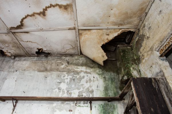 Water Damage Service in Mason
