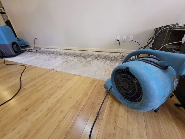 Water Damage Mitigation in Mason