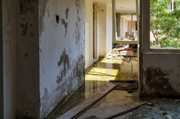 Water Removal Service in Mason