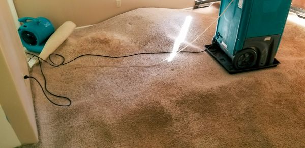 Carpet Water Extraction in Mason