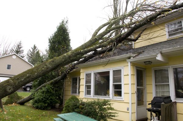 Hurricane Damage Repair in Mason