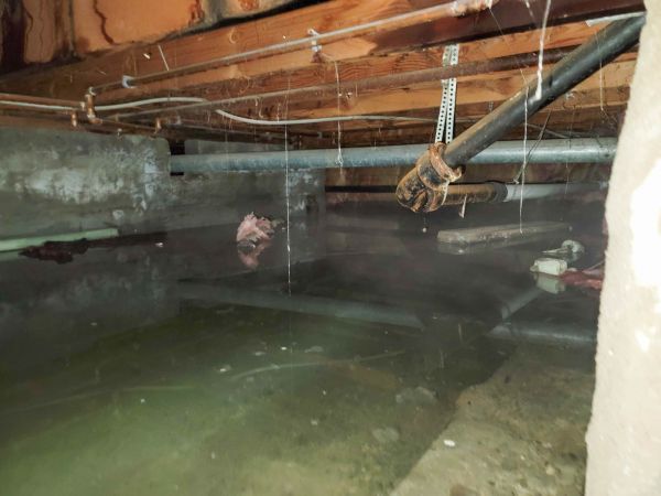 Crawlspace Water Restoration in Mason